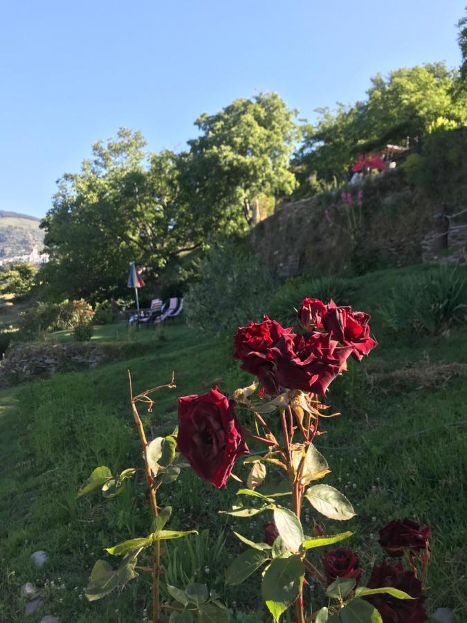"Casa Ibero" Bubion, Alojamiento Turistico Rural Kültér fotó
